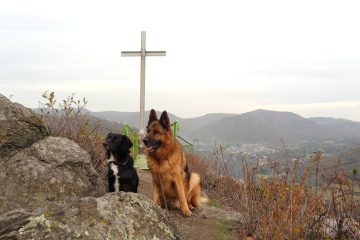 Mit den Hunden zum Maják u Strupčic und Vyhlídka Mlynářův kámen (CZ)