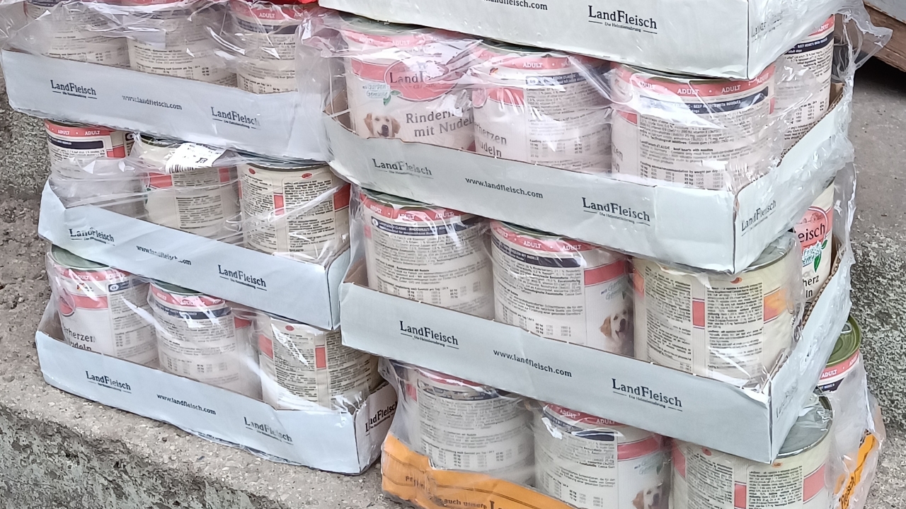 Du betrachtest gerade Unterschiede in den Verdauungsprozessen beim Hund