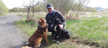 Mehr über den Artikel erfahren Warum der klassische Hundesport seine Zeit überlebt haben könnte