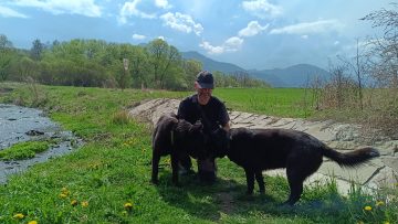 Mehr über den Artikel erfahren 10 Fehler im Umgang mit Hunden