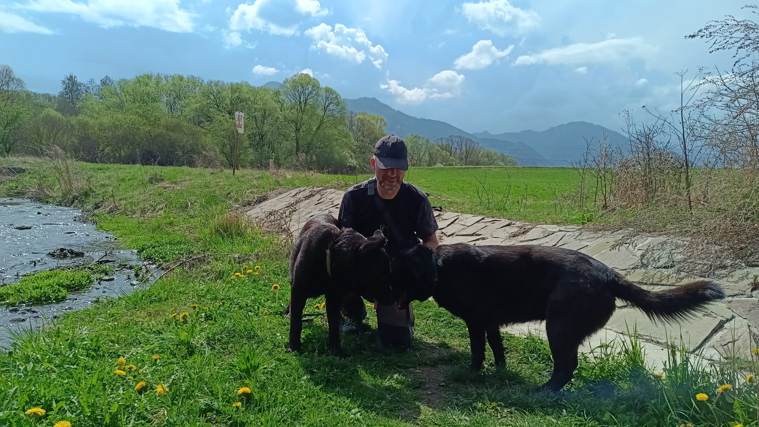 Du betrachtest gerade 10 Fehler im Umgang mit Hunden