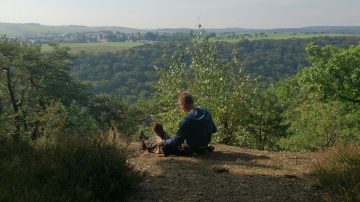 Mehr über den Artikel erfahren Warum tägliches stilles Sitzen im Wald mit deinem Hund gesund und bindungsfördernd ist