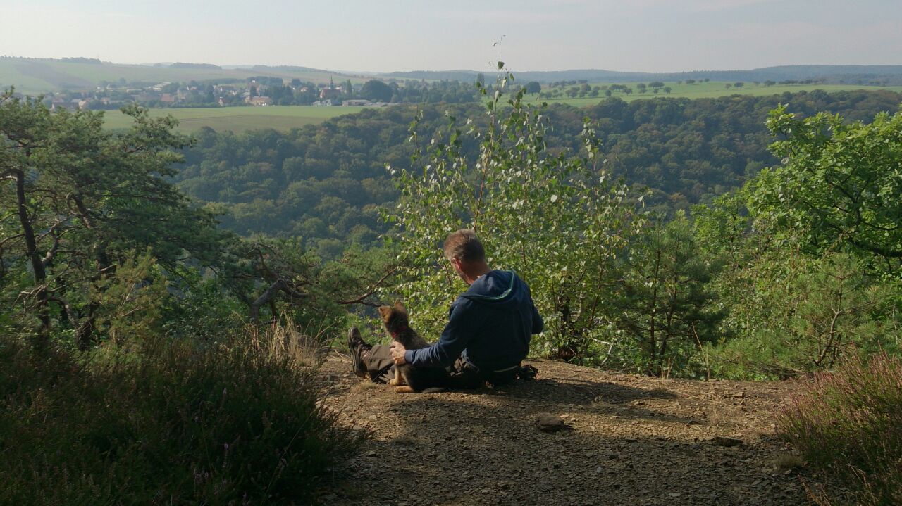 Du betrachtest gerade Warum tägliches stilles Sitzen im Wald mit deinem Hund gesund und bindungsfördernd ist