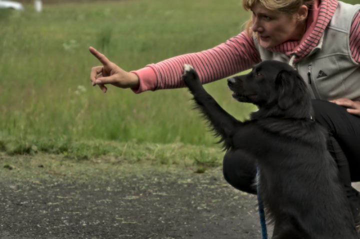 Mehr über den Artikel erfahren Onlinekurs Basiswissen 01 Grundlagen